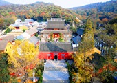 图片名